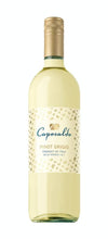 Caposaldo Delle Venezie Pinot Grigio 1.5 L wine bottle with label showing pale straw yellow color.
