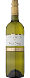 Elena Walch Selezione Sudtirol Alto Adige Pinot Grigio 2018 750 ML