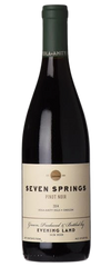 Evening Land Pinot Noir Seven Springs Eola-Amity Hills 2017 750 ML