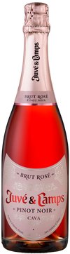 Juvé & Camps Cava Brut Pinot Noir Rose (Nv) 750 ml